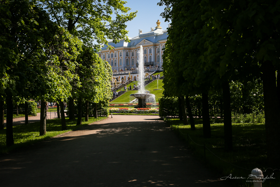 Прогулки по Питеру. Фотограф Вихарева Алена