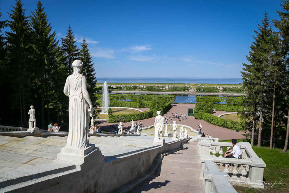 Прогулки по Питеру. Фотограф Вихарева Алена