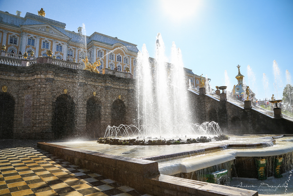 Прогулки по Питеру. Фотограф Вихарева Алена