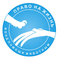 Логотип 